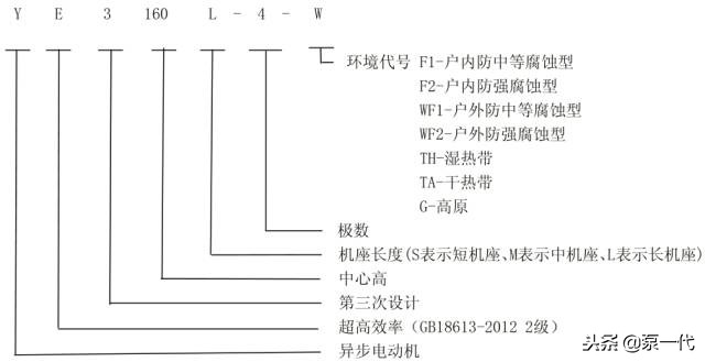 澳门澳官方网站